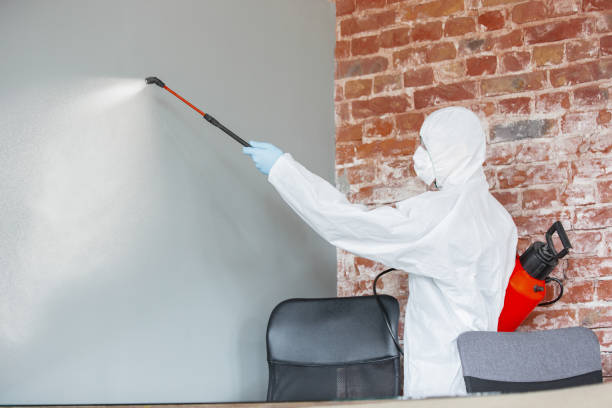 Best Commercial Mold Inspection  in South Glens Falls, NY